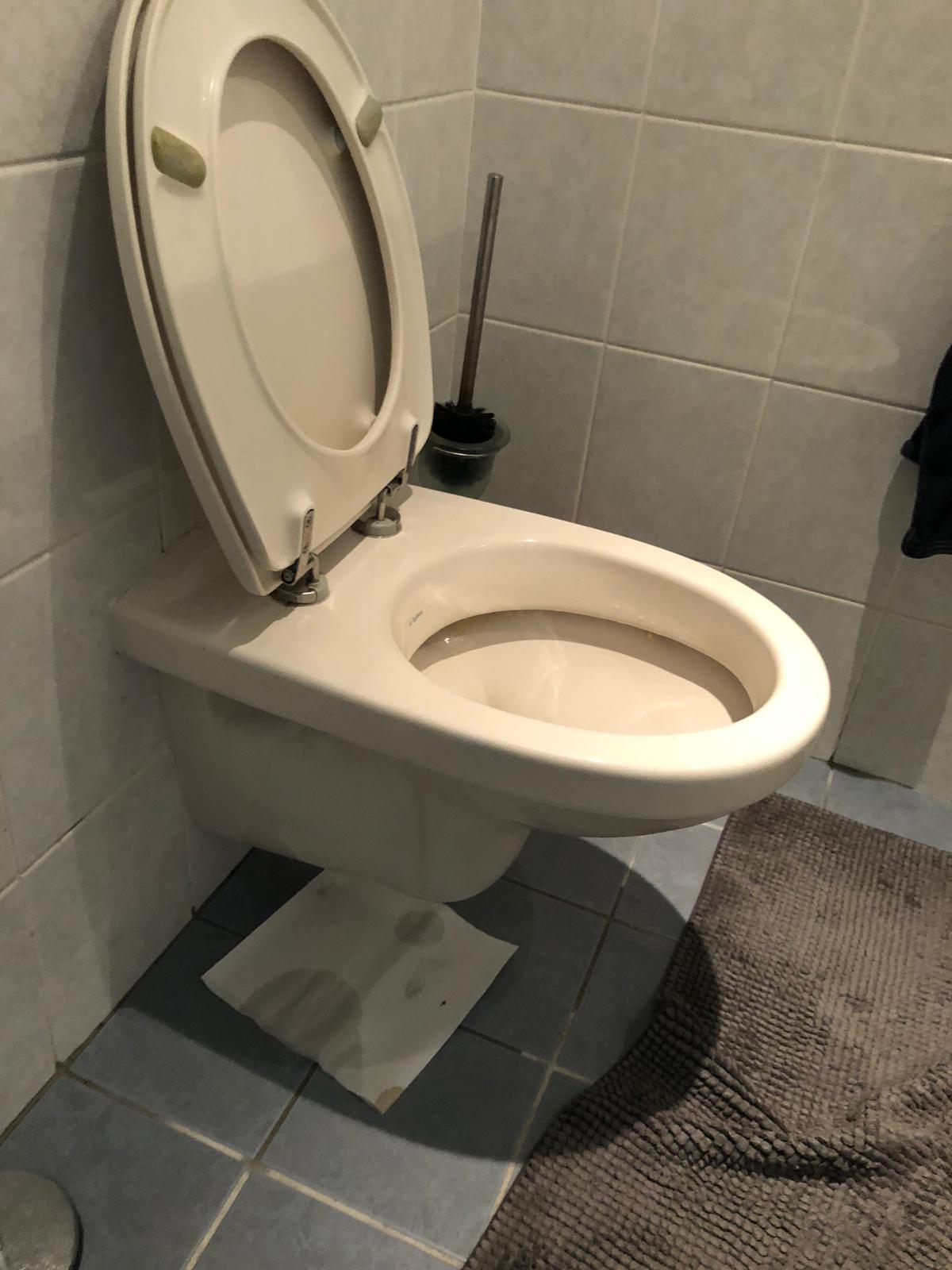 hangtoilet Delft
